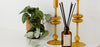 A plant in a brown pot, two amber glass candle holders, and a brown reed diffuser bottle are arranged on a white surface.