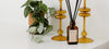 Potted plant next to two amber glass candle holders and a small bottle with black reed diffusers on a white surface.