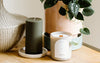 A ribbed green candle and a white candle in a holder sit on a wooden surface next to a potted plant.