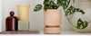 Shelf with a brown jar, a yellow ribbed vase, a green plant in a terracotta pot, and a white textured lamp.