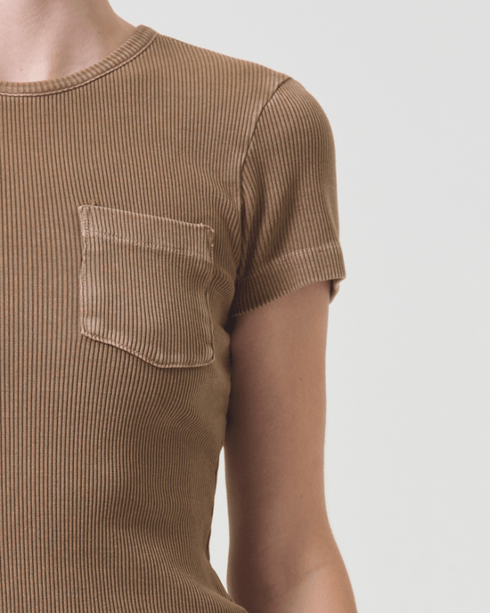 AGOLDE Clothing Arlo Rib Pocket Tee in Bamboo