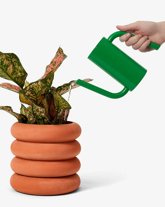 Areaware Home Tango Watering Can - Short Green