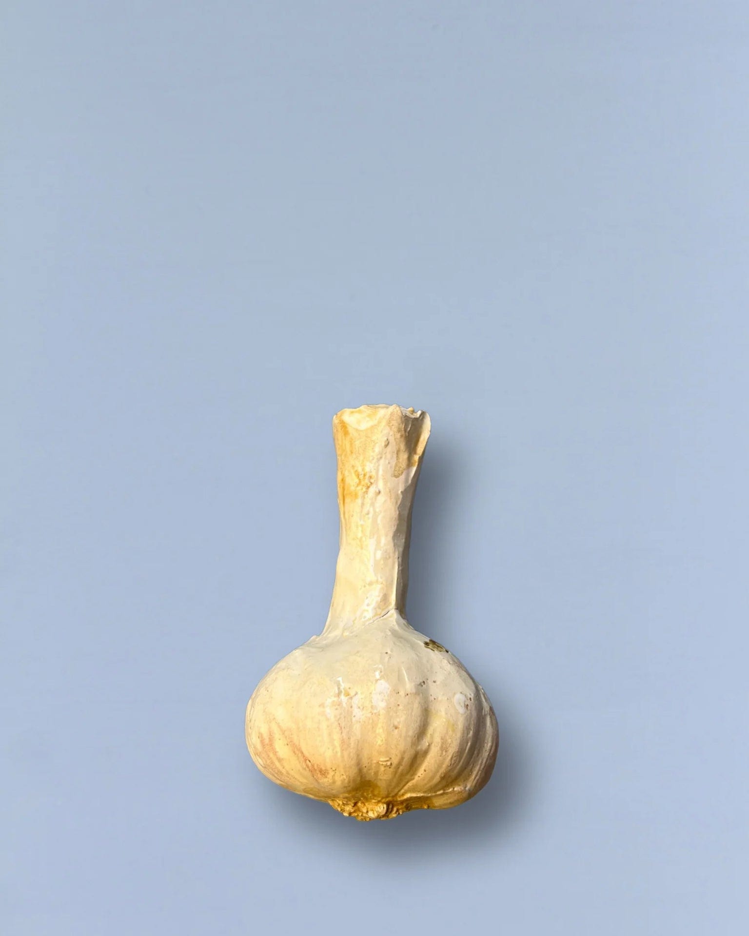 Ceramic Garlic