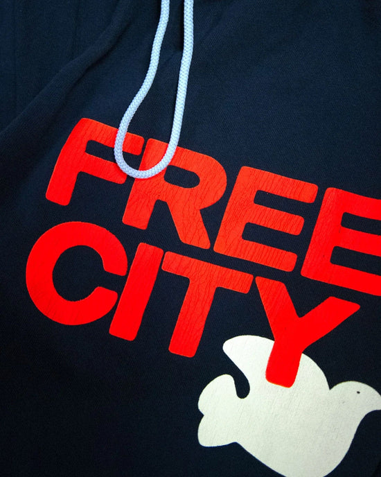 Free City FC Large Sweatpant in Squids Electric 