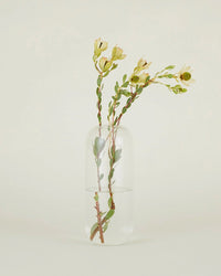 Hawkins New York Home Aurora Pill Vase in Clear