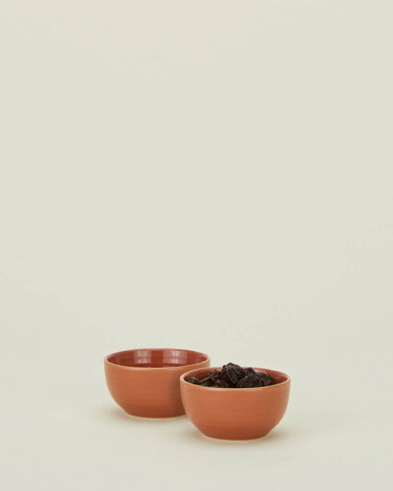 Hawkins New York Home Essential Extra Small Bowls S/2 in Terracotta