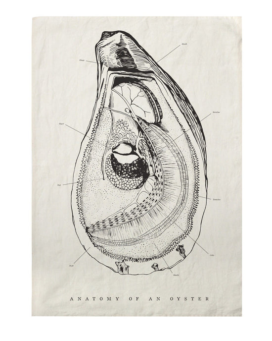 SIR / MADAM Home Oyster Anatomy Tea Towel