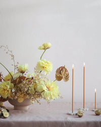 The Floral Society Home Miel Long Stem Candles in Miel