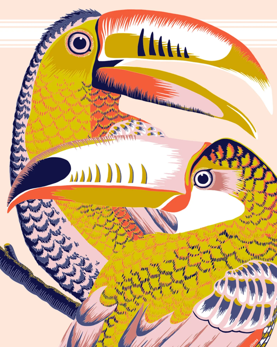 Two Fouta 100 Toucans in Nude with vibrant plumage depicted in a close-up illustration by Inoui Editions.